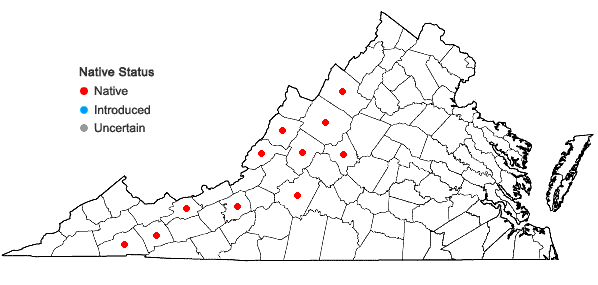 Locations ofVicia americana Muhl. ex Willd. var. americana in Virginia