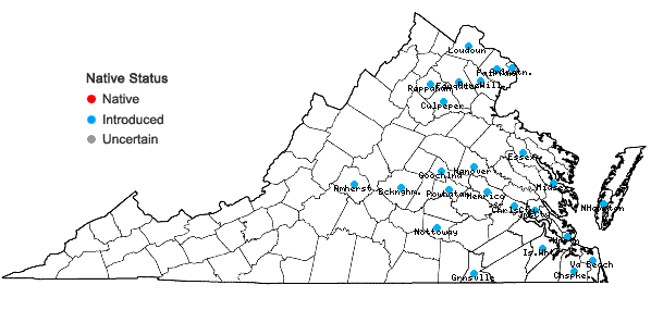 Locations ofVicia tetrasperma (L.) Schreb. in Virginia