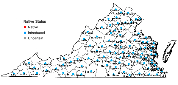 Locations ofVinca minor L. in Virginia