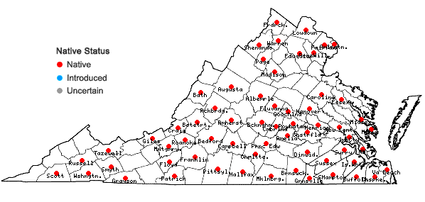Locations ofViola affinis Le Conte in Virginia