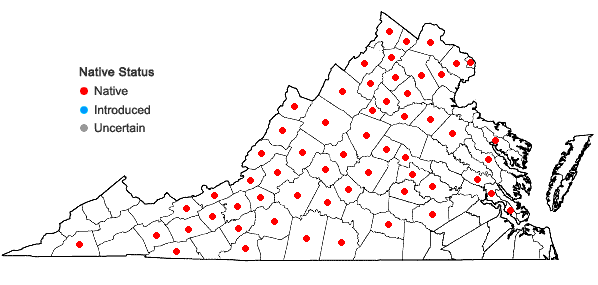 Locations ofViola fimbriatula J.E. Smith in Virginia