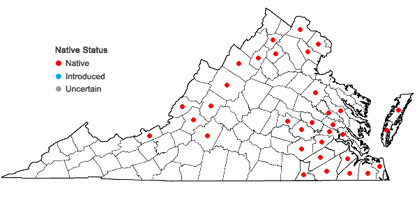Locations ofViola lanceolata L. in Virginia