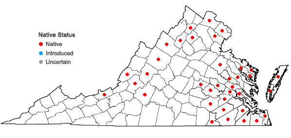Locations ofViola lanceolata L. in Virginia