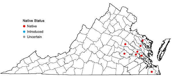 Locations ofViola palmata L. var. palmata in Virginia