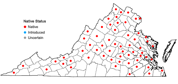 Locations ofViola palmata L. var. triloba (Schwein.) Gingins ex A. DC. in Virginia