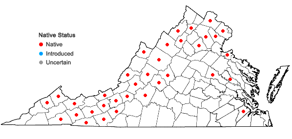Locations ofViola pubescens Aiton in Virginia