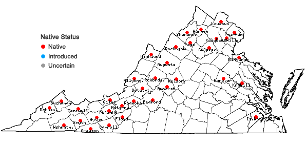 Locations ofViola pubescens Aiton in Virginia