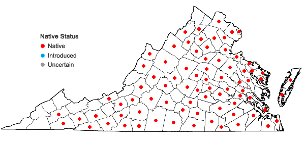 Locations ofViola sagittata Aiton in Virginia