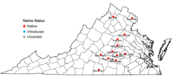 Locations ofViola stoneana House in Virginia
