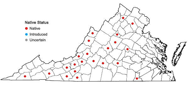 Locations ofViola subsinuata Greene in Virginia