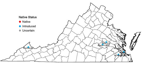 Locations ofVitex agnus-castus L. in Virginia