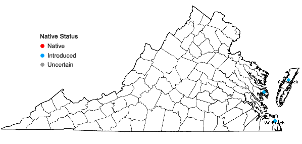 Locations ofVitex rotundifolia L.f. in Virginia