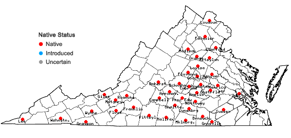 Locations ofVitis cinerea (Engelm.) Engelm. ex Millardet var. baileyana (Munson) Comeaux in Virginia