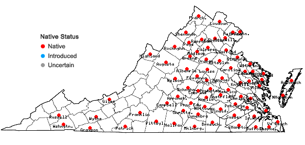Locations ofVulpia octoflora (Walt.) Rydb. in Virginia