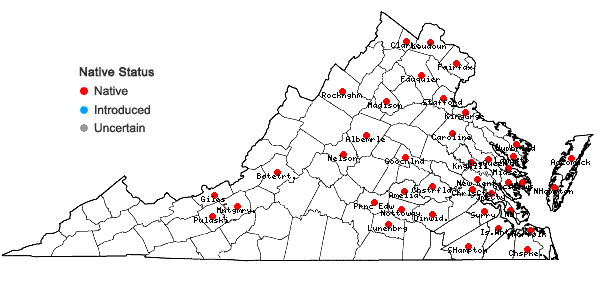 Locations ofWolffia brasiliensis Weddell in Virginia