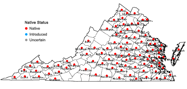 Locations ofXanthium strumarium L. in Virginia