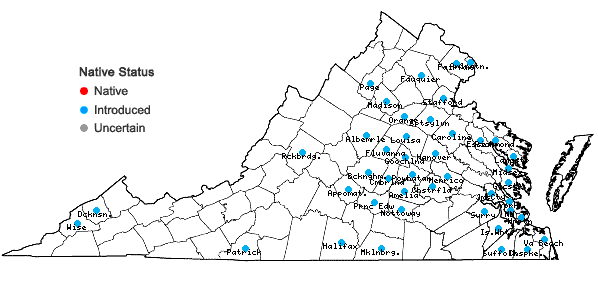Locations ofYoungia japonica (L.) DC. in Virginia