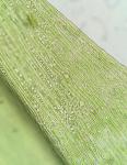 Pseudotaxiphyllum elegans (Brid.) Z. Iwats.