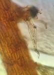 Pylaisiadelpha tenuirostris (Bruch & Schimp. ex Sull.) W.R. Buck